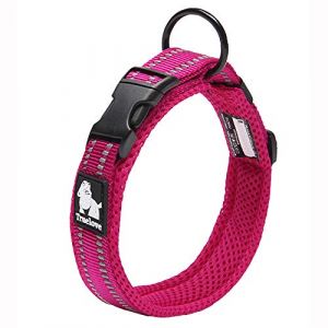 True Love Collier de Chien Réfléchissant Réglable Nylon Solide Confort rembourré Colliers Pet Classic TLC5011(Fuchsia,L) (Truelove Pet Garment and Shoes Co.Ltd., neuf)