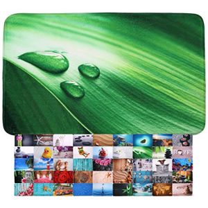 Sanilo Tapis de Salle de Bain, Grande sélection de Beaux Tapis de Douche, Absorbant, Antidérapant, Très Doux, Sèche Rapidement, Lavable (50 x 80 cm, Feuille Verte) (Baintastique, neuf)