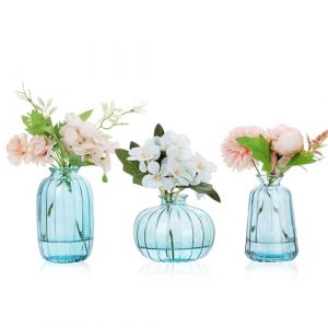 Ezvsevuo Vases en Verre, Lot de 3 Petits Vases pour Decoratifs de Table Mariage, Vase Décoratifs Vintage Mini Vase en Verre pour Décorations de Table Moderne (Ezvsevuo, neuf)