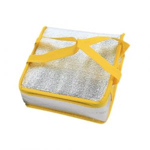 FytStycale Pizza Sacs de Livraison, Sacs de Nourriture, R&eacute;cipient de Sacs D'huile Protection D'huile Transport du Sac de Nourriture Poussant de Pizza pour, Jaune 23x23x10cm (EternalBeauty Star, neuf)