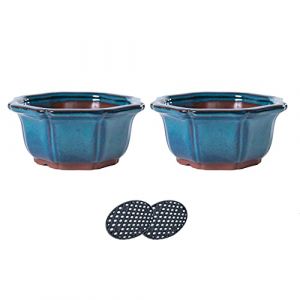 Jinfa 2 Pots à bonsaï en céramique émaillée avec Trous de Drainage + 2 écrans Maille | Turquoise (HDhomeart, neuf)