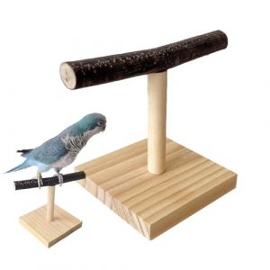 Perchoir de Table pour Perroquet - perchoir de Table pour perroquets, Perche calopsitte en Bois | Support de Cage à Oiseaux pour perchoir, Support de Table pour Perroquet, Accessoire (Ceyuan inn, neuf)