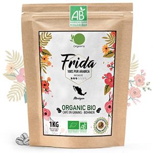 ORIGEENS CAFE GRAIN BIO 1kg | Café en Grain Arabica | Frida - Single Origin Mexique | Torréfaction Artisanale (Origeens, neuf)