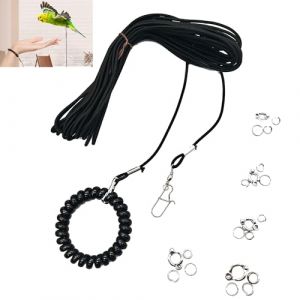 Hayaww 6 m Harnais Perroquet Laisse Perruche Harnais Perroquet Corde Volante Harnais pour Perroquet Laisse Harnais pour Oiseaux Perruche Corde D'entraînement Laisse pour Petit Perroquet (6 m) (guangzhouweizhenkejiyouxiangongsi, neuf)