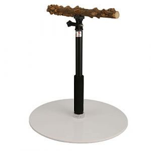 Qcwwy Support de Perchoir &agrave; Oiseaux en Bois Naturel, Support de Jeu Portable D&eacute;tachable pour Perroquet Support de Jeu pour Oiseaux Perroquets Aire de Jeux Perchoir R&eacute;glable pour Int&eacute;rieur Ext&eacute;rieur (Aeuyweu, neuf)