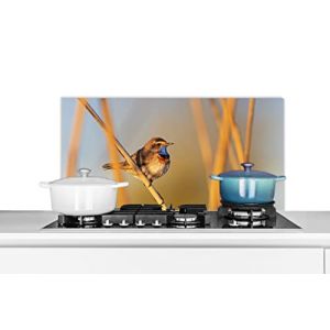 Credence Oiseaux - Gorgebleue - Roseau Fond de hotte 90x45 cm Credence aluminium Plaque inox de cuisine (WallCircle, neuf)