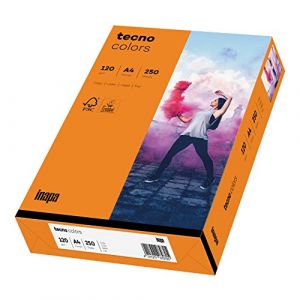 inapa Tecno Colors Lot de 250 feuilles de papier coloré 120 g/m² Format A4 Orange 120 g/m² (versando®, neuf)