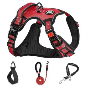 NESTROAD Harnais Veste et Longe Anti Traction pour Chiens, Colliers, Harnais et Laisses pour Chiens, Accessoire Chien (Rouge, [M] Le Cou 33~43CM Poitrine 43~64CM) (GUANGZHOU XUNCHEN TRADING CO. , LTD, neuf)