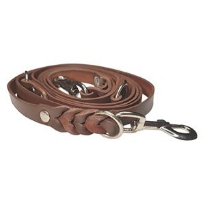 VlaMiTex D2 Laisse pour Chien en Cuir Gras Réglable Marron (2 x 200 cm, Marron) (Spät Shop, neuf)