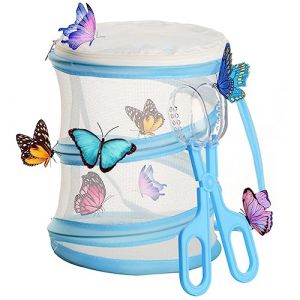 TAIZER Papillon Habitat Cage,Habitat d'Insectes Insecte Élevage Cages Cage Insectes Habitat Pliable Portable Cage Maille D'élevage d'insectes Culture Végétale Boîte Reptiles Insectes Cage Mesh (TAIZER, neuf)