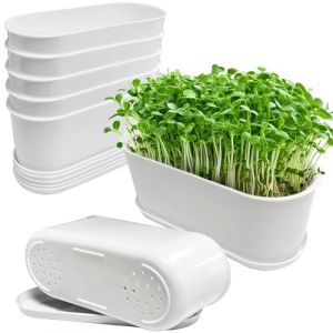 SYITCUN 5X Pots de Fleurs rectangulaires avec avec Plateau,22 x 9 x 8,5cm Jardini&egrave;re de Rebord de Fen&ecirc;tre avec Trou de Drainage,Petit Pot de Cactus pour la D&eacute;coration Moderne,Pot pour Bonsai (S YI TC UN, neuf)