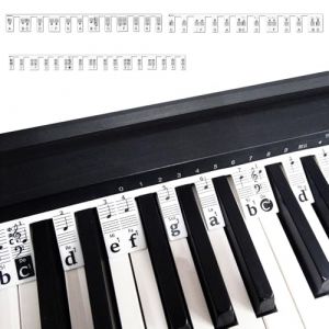 YCHYAN Autocollant Piano, pas Besoin de Coller Guide des Notes de Piano, Fabriqu&eacute; en Silicone, Notes du Clavier de Piano, Convient aux D&eacute;butants et aux Enfants, Accessoires Piano (YINGCH, neuf)