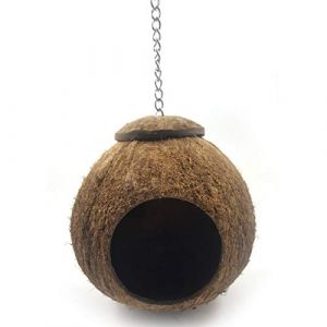 Noix de Coco Coque Oiseau Cage, Oiseau Maison Lit pour Animal de Compagnie Perroquet Perruche Perruche Calopsitte Élégante Conure Canari Finch Cage Hamster Rat Gerbille Souris Cage Mangeoire Jouet (LY.Lillie, neuf)