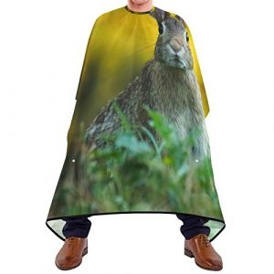 Cape De Coiffure Lapin Tablier De Coiffure D&rsquo;Enfants Anti Statique Perm&eacute;able &Agrave; L'Air Coupe Cheveux, Pour Femme, Le Dyeing, Adultes, 140x168cm (ZouYeShop, neuf)