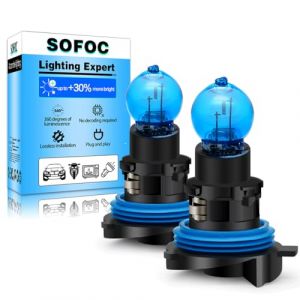 SOFOC HP24W Ampoule 12V Feux de Jour Blanc DRL Feux de Position Phare Pour Mod&egrave;les C5 24W Ampoule PG20-1 Non Polaris&eacute;e 2Pcs (Sofoc-EU, neuf)