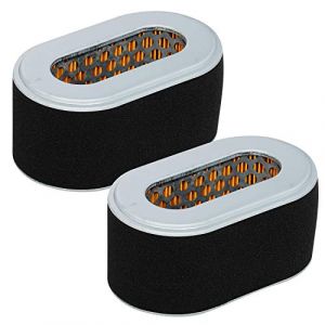 Carkio Lot de 2 filtres &agrave; air Combo pour Robin Subaru EX27 9hp Remplace 279-32607-17 2793260707 279-32606-08 279-32607-07 2793260608 (King of Industry, neuf)