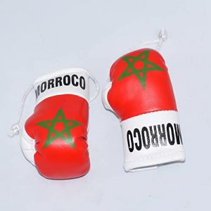 Paire de mini gants de boxe à suspendre pour voiture, camionnette, rétroviseur, sport, cadeau (Marroco) 8,9 cm (Brit_bargain, neuf)