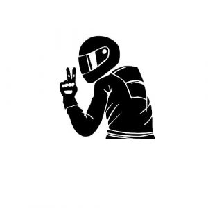 Drôle Autocollants de Voiture, Motards Réfléchissant Autocollants en Vinyle, Autocollant De Pare-Chocs, Stickers Décoratifs pour Voitures Camions Motos Ordinateur Portable (Noir) (iShang Direct, neuf)