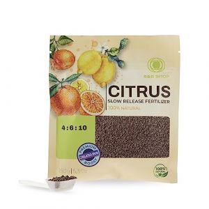 R&R SHOP – Engrais Biologique pour Agrumes, Aliment Biologique Complet, à libération lente, parfait pour les Citrons, Oranges, Mandarines, Pamplemousses et Citrons Intérieurs et Extérieurs – 150GR (R&R online shop, neuf)