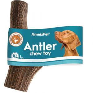 AmeizPet Os De Cerf pour Chien - Friandises Id&eacute;al Chiens Enti&egrave;rement Naturelles Et, Os De Cerfs Durable A Longue Dur&eacute;e Id&eacute;al Chiens, Corne Cerfs Robuste pour Chien - 1 Pi&egrave;ce Taille XL Corne Cerf (Ventus artis, neuf)