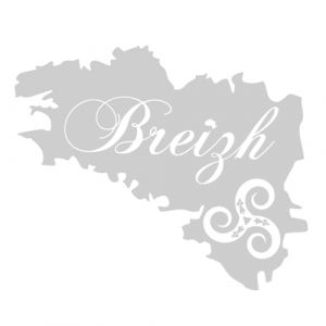 Autocollant Sticker Breizh, Stickers Carte Bretagne, Autocollants Breton Triskel, Vinyle haute performance pour voiture moto bateau (argent, 12 X 10 cm) (tmz-creation, neuf)