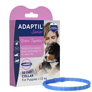 ADAPTIL Collier réglable Junior pour Chiot, prouvé pour Aider à réduire Les Pleurs Nocturnes, Confort lorsqu'il est laissé Seul à la Maison, entraînement et socialisation – Chiot (112 Healthcare, neuf)