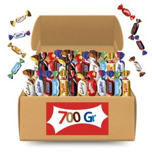 Mini Chocolats Assortis 700g – Snickers, Mars, Twix, Bounty, Galaxy, Milky Way – Idéal pour Entreprises, Réceptions, Halloween, Noël, Anniversaires et Fêtes - Sachet gourmand individuel ! (Mes Gourmandises, neuf)