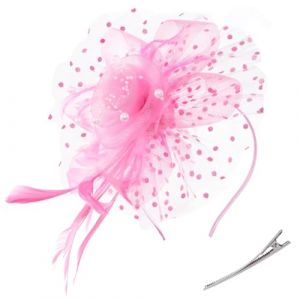 AOWVUTS Fascinator Chapeau Plume Mariage Dames Day Bandeau et Clip Fascinator Chapeau Fleur Maille Plume Dentelle avec Barrett Chapeaus Fascinateur Voile Cocktail Tea Party Chapeaus pour Femme (E, Un) (Foshan City Dange Auto Co., neuf)
