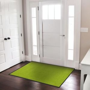 casa pura Tapis Entr&eacute;e sous Porte Rhine Vert-Citron,Paillasson Absorbant Lavable en Machine &agrave; Laver,Enl&egrave;ve salissures,Dos en TPE Durable Antid&eacute;rapant,Passe sous la Porte 7 mm d'&eacute;paisseur - 40x60 cm (Velvet Trading, neuf)