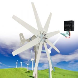 Fablestoryem Générateur d'éolienne 14000W, Générateur d'éolienne à 8 Pales 12V/24V/48V/110V/220V Générateur à Aimant Permanent Triphasé AC, avec Contrôleur, Petit Générateur d'éolienne Domestique,12V (QIAOLANSHOP, neuf)