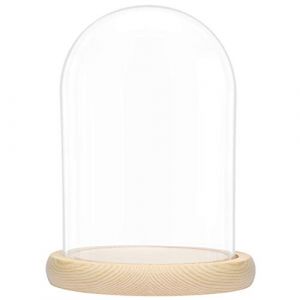 Belle Vous Cloche en Verre avec Socle en Bois Naturel - 20 cm - Cloche en Verre Decorative Transparente avec Plateau en Bois pour Lumières Décorations de Table Antiquités (Tinyyo Europe, neuf)