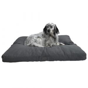 MaxCor Coussin Chien Rectangulaire à Mémoire de Forme Orthopédique - Grand Anthracite - Imperméable et Relaxant - Soulage et Préserve Les Articulations - Ne se Déforme Pas et Lavable en Machine (MaxCor, neuf)