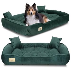 Lit pour Moyen Chiens M 75x65 cm | Lit pour Chien Lavable, Ultra Doux | Canapé Chien Orthopedique | Moelleux et Douillet, Super Doux | Made in EU Vert (AIO FACTORY GmbH, neuf)