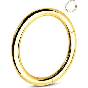 OUFER 16G Or Piercing Oreille Cartilage 5mm Piercing Helix Titane G23 Piercing Nez Anneaux Or Segment &agrave; Charni&egrave;re Daith Clicker Piercing Tragus Boucle D&rsquo;oreille pour Femme Homme (OUFER INC, neuf)