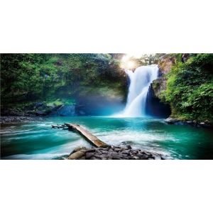 MIRRORANG 76x30cm Fond de Terrarium de forêt Tropicale Arbre Vert Soleil Bleu Cascade rivière Reptile Habitat Fond forêt Tropicale Aquarium Fond (MIRRORANG Shop EU, neuf)
