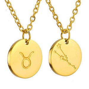 AFSTALR Zodiac Chain - Collier pendentif zodiaque or/argent/or rose I Collier zodiaque acier inoxydable femme, collier acier inoxydable femme (AFSTALR, neuf)
