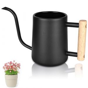 Arrosoir, Arrosoir en Acier Inoxydable 1L, Petit Arrosoir pour Plantes Extérieures, Arrosoir Plante Interieur avec Long Bec et Poignée en Bois, pour Plantes Extérieures, Plantes Succulentes (Noir) (annakojisu, neuf)