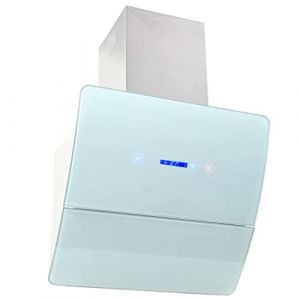 vidaXL Hotte Murale Acier Inoxydable 756 m³/h 60 cm Blanc Aspirante Cuisine (vidaXL FR, neuf)