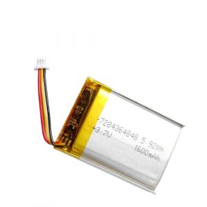 XINLANTECH Batterie de remplacement 1600mAh pour Corsair HS70, HS70 Pro, HS75 XB sans fil, Logitech G933, G533, G935 casque, HyperX Cloud Flight Cloud Alpha, Alienware AW988 Casque de jeu (XINLANTECH, neuf)