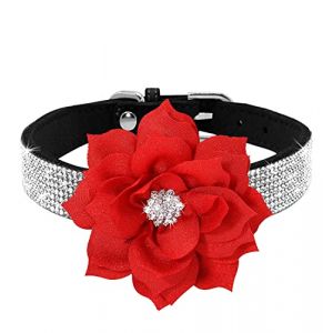 Haoyueer Collier pour chien avec strass, mignon collier &eacute;tincelant en cuir su&eacute;d&eacute; souple avec strass pour chien ou chat, collier pour chien ou chat avec cristaux et diamants (S, Noir-6) (haoyueer-uk, neuf)