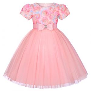 BUNNY LULU Robe pour Filles &agrave; &eacute;paule inclin&eacute;e pour Demoiselle d'honneur, Princesse de Mariage, n&oelig;ud d'anniversaire pour Enfants, soir&eacute;e de Bal de f&ecirc;te de Boule (Rose 2-3 Ans) (Bunny LuLu Store, neuf)