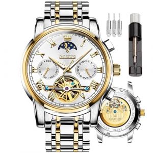 OLEVS Montre squelette à remontage automatique pour homme Tourbillon sans pile Montre de luxe en acier inoxydable avec date mécanique étanche tendance pour homme, Gw-g6617-white&between gold, Bracelet (⭐⭐⭐⭐⭐ WAREHOUSE FR ✅, neuf)