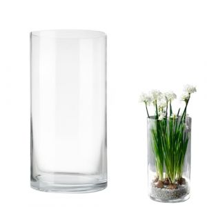 LOMUG Grand Vase cylindrique en Verre Transparent, Vase Rond Moderne - vases &agrave; Fleurs pour la Maison, Le Bureau, Le Mariage - D&eacute;coration de Table (Transparente, 12 x 25 cm) (JINGMEI-UK, neuf)
