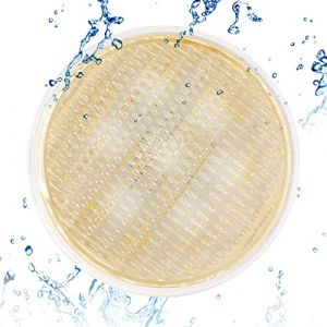 KOLLNIUN &Eacute;clairage de piscine &agrave; LED, PAR56 submersible blanc chaud, &eacute;clairage de piscine IP68, &eacute;tanche, 20 W 12 V AC/DC &eacute;clairage sous-marin (Amris, neuf)