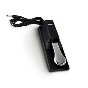 HQRP Pédale de Sustain Type Piano pour Casio CTK-491 CTK-496 CTK-571 CTK-573 CTK-591 CTK-593 CTK-671 CTK-691 CTK-691 CTK-700 Clavier pédale (HQRP-FR, neuf)