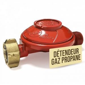 Détendeur Gaz Propane 37 Mbar avec Sécurité Excès de Débit – Raccord G.2 Bouteille 13 Kg ou 35 Kg – Sortie Filetée 20x150 – Débit 1,5 Kg/h – Pour Barbecue, Plancha, Chauffage – Conforme NF En 16129 (Eslab, neuf)