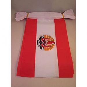 AZ FLAG - Guirlande Drapeau Polynésie française - 6 Mètres Avec 20 Fanions Polynésien - France De 21x14 cm - Petits Drapeaux 100% Polyester - 60g (AZ-FLAG, neuf)