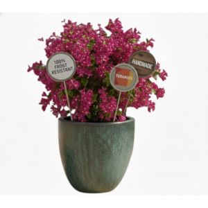 teramico Pot de Fleurs de qualité supérieure en céramique émaillée, 100% résistant au Gel et Fait à la Main, bac à Fleurs avec Trou (Vert Mousse, 48cm x 41cm) (Teramico, neuf)