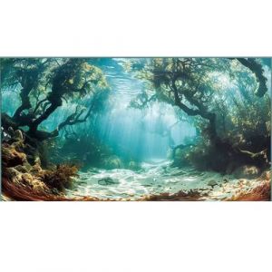 Didooou Fond d'aquarium paysage naturel, 30 cm, 40 cm, 50 cm, 60 cm, 80 cm (océan-4, 60 x 80 cm) (ZYfeng, neuf)