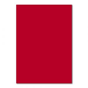 50x A4 Carton-carte - couleur: rouge rose - 210 x 297 mm - 240 g/m&sup2; - Papier tonique Carton photo Papier de bricolage Carton d'argile - FarbenFroh by GUSTAV NEUSER (GUSTAV NEUSER GmbH, neuf)